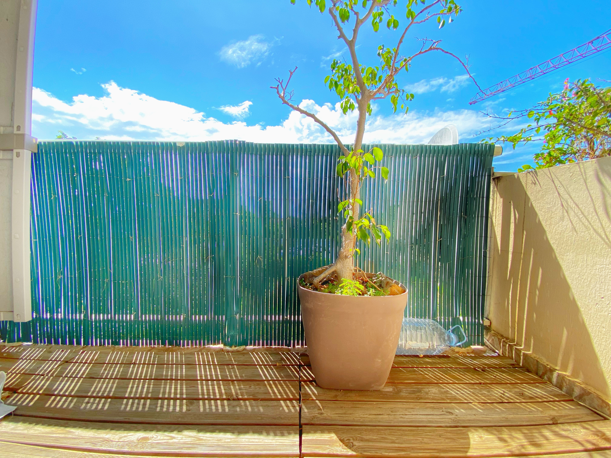 Appartement T3 libre - petite terrasse - 1 parking - Sainte-clotilde