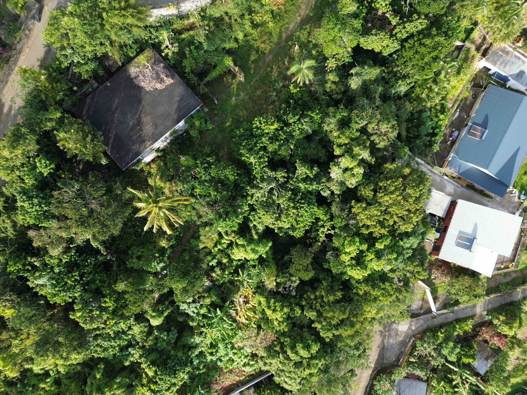 LA POSSESSION (RAVINE A MALHEUR) - PARCELLES A BATIR