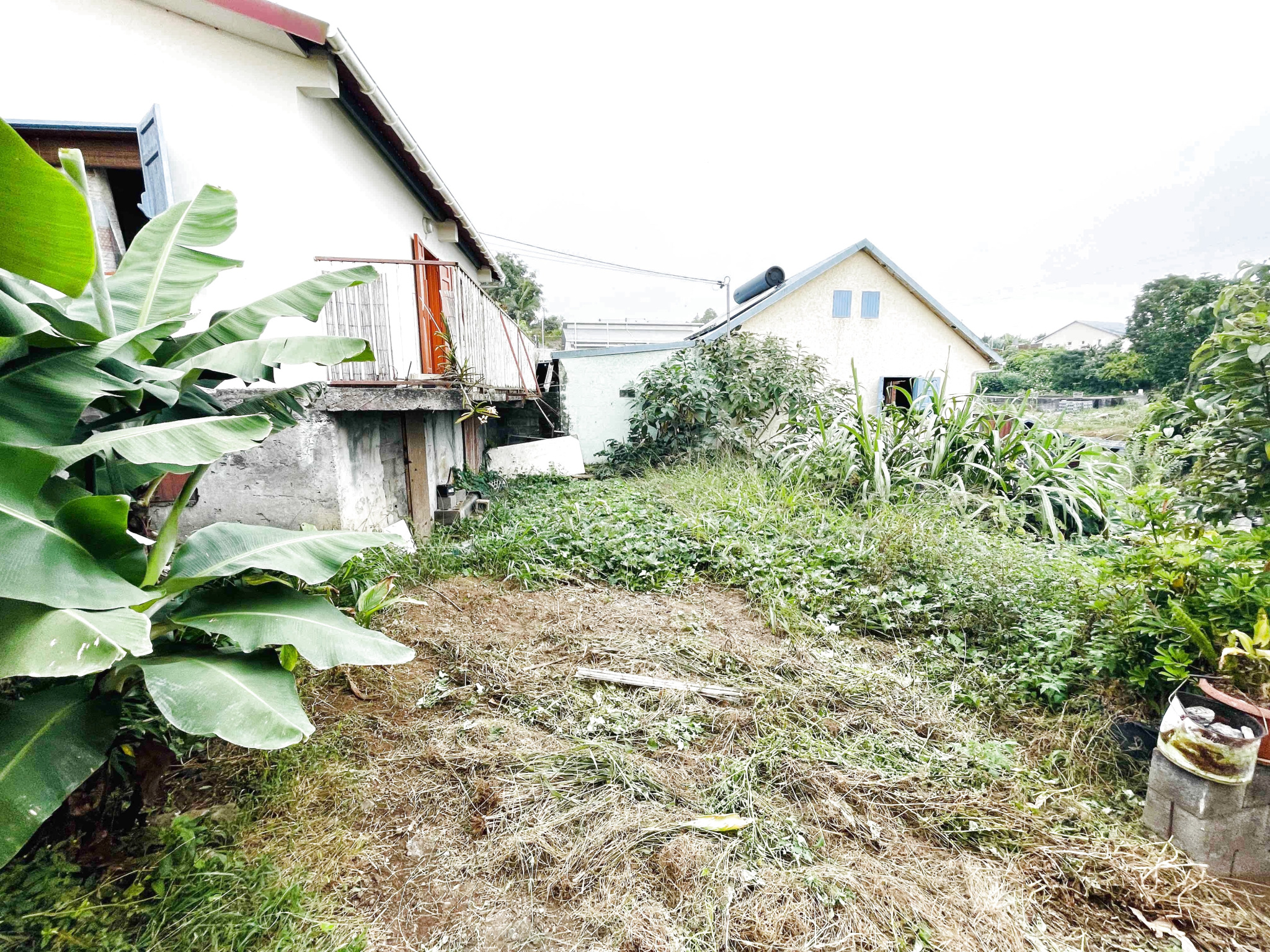 EXCLUSIVITE MAISON T3/4 DE PLAIN PIED A TAN ROUGE (HAUTS DE SAINT PAUL)