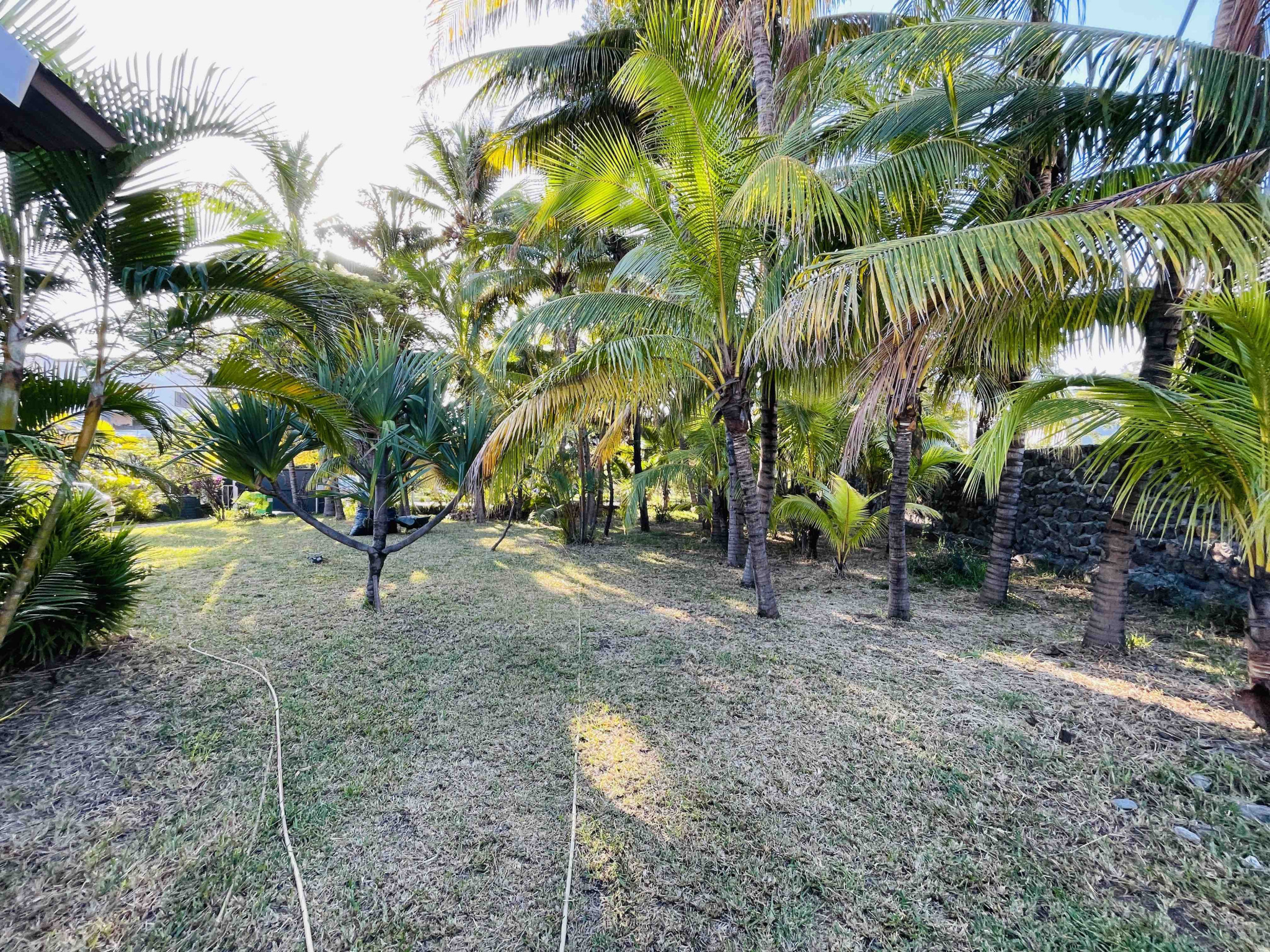 EN EXCLUSIVITE RARE SUR LE SECTEUR DE SAINT GILLES LES BAINS VILLA SUR UN TERRAIN DE 1250 m2