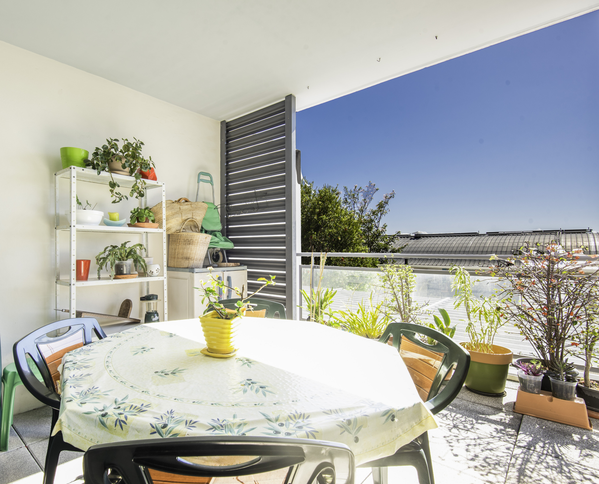 EXCLUSIVITÉ T2 Loué - Colline des Camélias