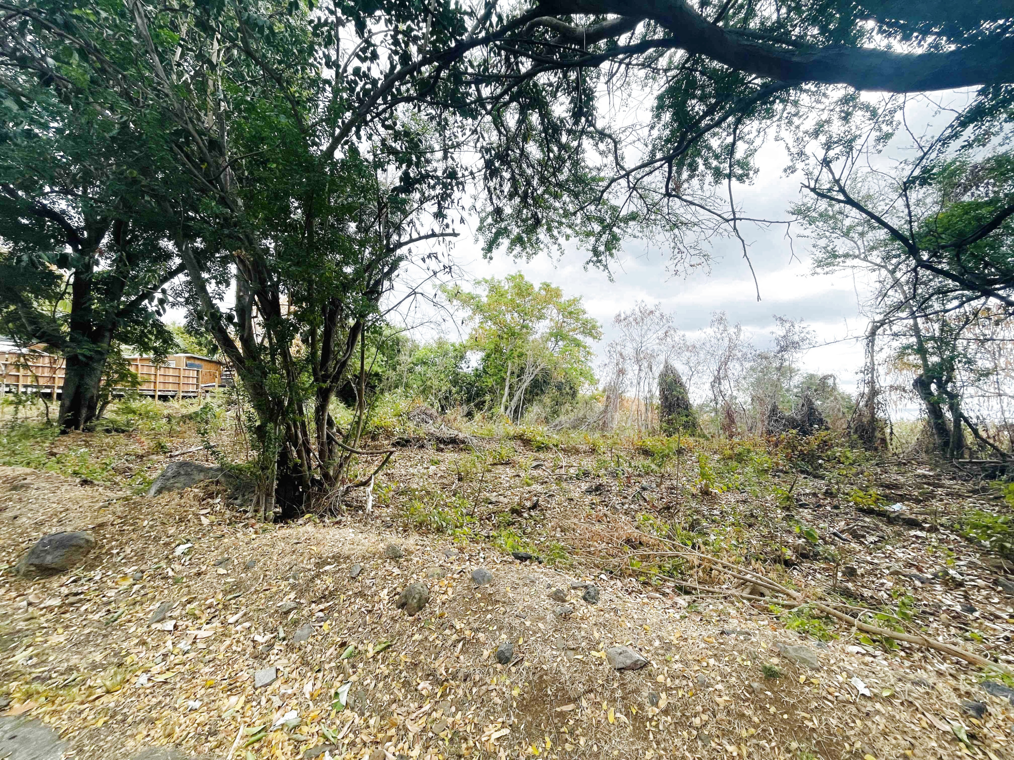 LA POSSESSION (BOEUF MORT) - TERRAIN À BÂTIR 2 595 m2 CONSTRUCTIBLES