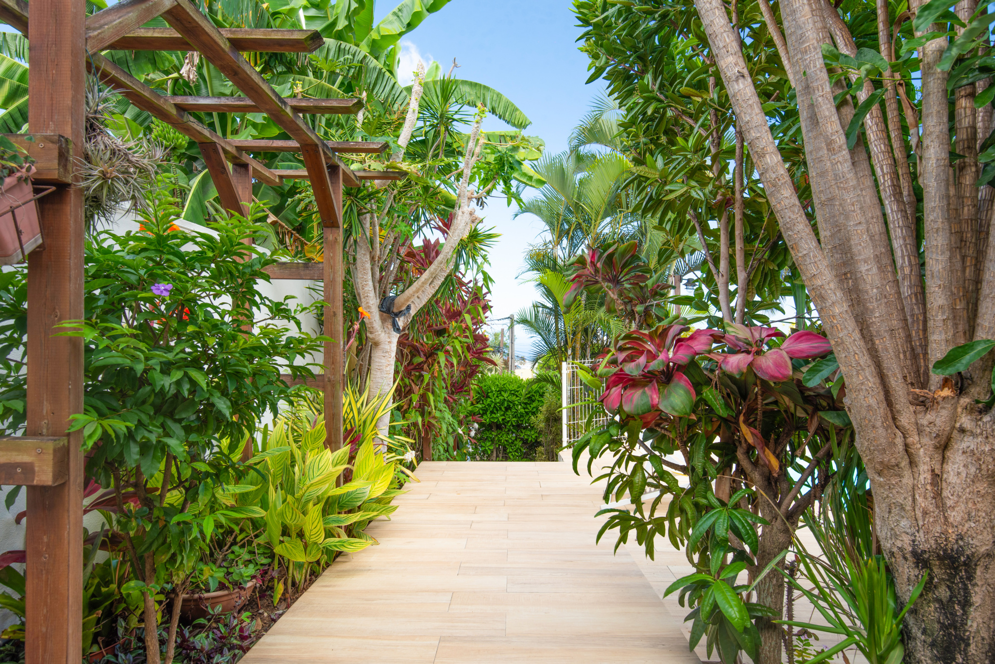 VILLA AVEC PISCINE &amp; VUE MER - A LA POSSESSION (PICHETTE)