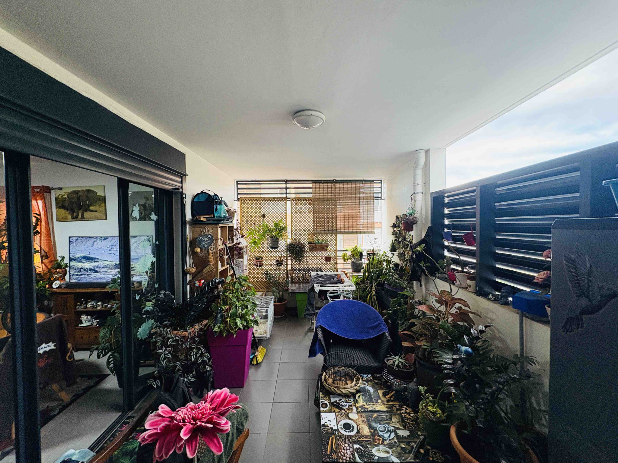 LA POSSESSION (CENTRE VILLE) - APPARTEMENT T2